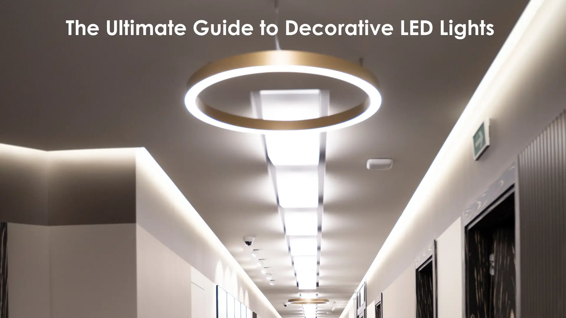 The Ultimate Guide to Decorative LED Lights